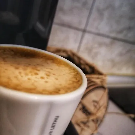 公寓 Sofia 兹拉蒂博尔